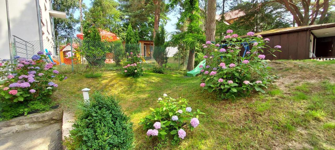 Villa Azalia Jastrzebia Gora Exterior foto